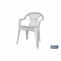 Silla Monobloc respaldo bajo Cofan