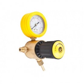Comprar MANORREDUCTOR REDUCIDO ARGON-CO2 35600000 Gala Gar