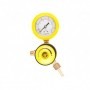 Comprar MANORREDUCTOR REDUCIDO ARGON-CO2 35600000 Gala Gar