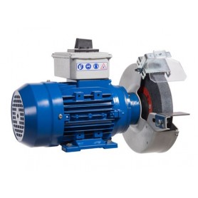 Comprar Esmeriladora ECO E-1 80611000 Gala Gar