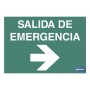 ▷ Cartel Salida de Emergencia derecha luminiscente en varias medidas | Ferreidea