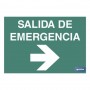 ▷ Cartel Salida de Emergencia derecha luminiscente en varias medidas | Ferreidea