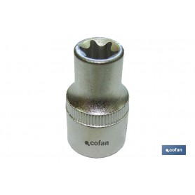 ▷ Vaso Torx hembra 1/2" | Ferreidea