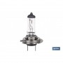 ▷ Bombilla Coche H-7 | Ferreidea