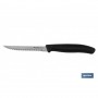 ▷ Cuchillo Cocina Microdentado"Ginger" | Ferreidea