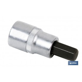 ▷ Llaves de vaso punta Hexagonal 1/4" | Ferreidea