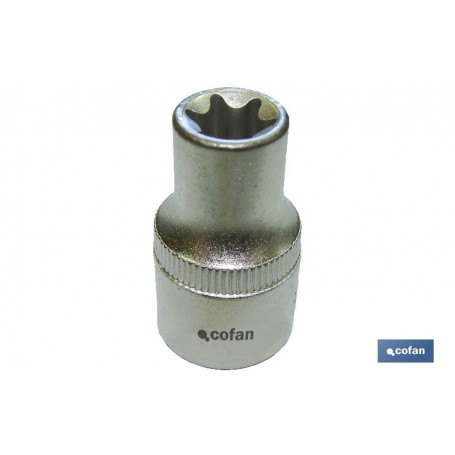 ▷ Vaso Torx hembra 1/4" | Ferreidea