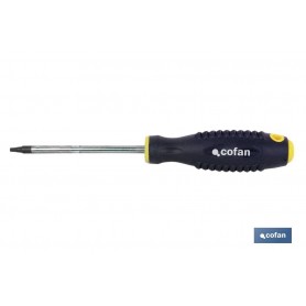 ▷ Destornillador Torx inviolable | Ferreidea