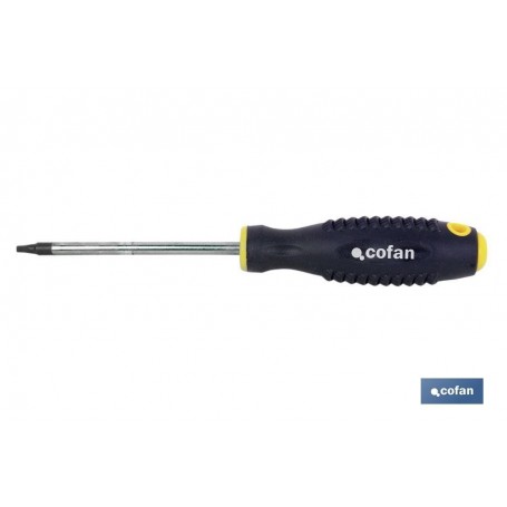 ▷ Destornillador Torx inviolable | Ferreidea