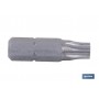 ▷ Torx inviolable | Ferreidea