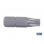 ▷ Torx inviolable | Ferreidea