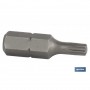 ▷ Torx 5/16" | Ferreidea
