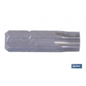 ▷ Torx | Ferreidea