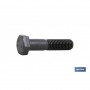 ▷ Tornillo Hexagonal 10.9 Negro (Din 931) | Ferreidea