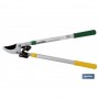 ▷ Tijeras de poda telescópica 64 cm - 98 cm (25 - 38) | Ferreidea