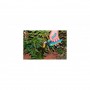 ▷ Tijeras cortacésped profesional 340 mm (13½) | Ferreidea