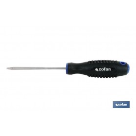 ▷ Destornillador Spanner | Ferreidea