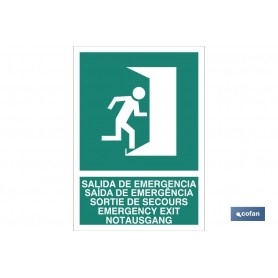 ▷ Cartel escalera de emergencia derecha luminiscente | Ferreidea
