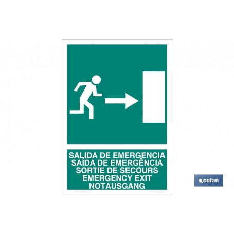 ▷ Pictograma salida de emergencia derecha luminiscente | Ferreidea