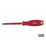▷ Pozidrive aislados 1000 V | Ferreidea