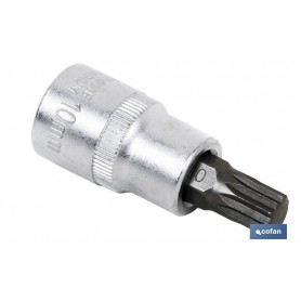 ▷ Llaves de vaso punta XZN | Ferreidea