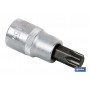 ▷ Llaves de vaso punta Torx 1/4" | Ferreidea