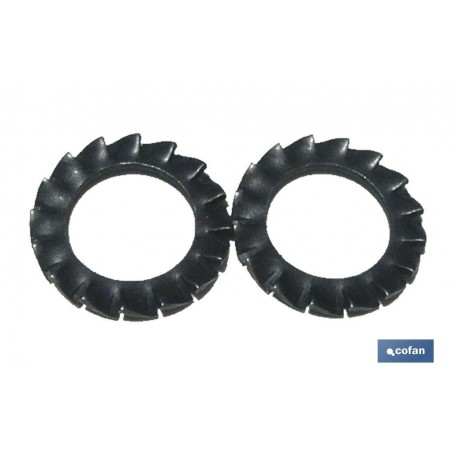 ▷ Arandelas Elásticas en Abanico Dentado Exterior DIN 6798 Blíster Estándar | Ferreidea