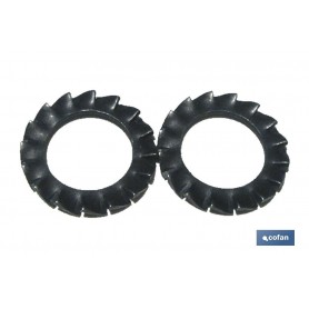▷ Arandelas Elásticas en Abanico Dentado Exterior | Ferreidea