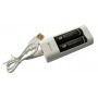 Comprar Cargador Usb Recyko+ 2 Pilas G-393 Gp 249608 al Mejor Precio