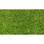 Comprar Cesped Artificial Moqueta 8 Mm 2 X 5 M Rollo 5M Wurko 150102 al Mejor Precio