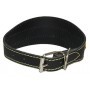 Comprar Collar Bandera 48Cm 622171 Galgo Mapel 62036 al Mejor Precio