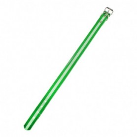 Comprar Collar Biothane Bandera Andalucia 60Cm Mapel 62068 al Mejor Precio