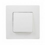 Comprar Conmutador Nl Bl Monobloc Legrand 224005 al Mejor Precio
