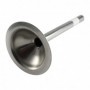 Comprar Embudo Inoxidable 20Mm. Maquina N32 Elma 122111 al Mejor Precio