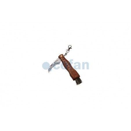 ▷ Navaja Especial Recolección de setas | Ferreidea