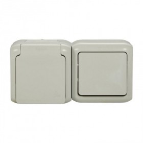 Comprar Interruptor Doble 10Ax+Pc 2P+T Sch Gr Ip44 Legrand 224017 al Mejor Precio