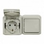 Comprar Interruptor Doble 10Ax+Pc 2P+T Sch Gr Ip44 Legrand 224017 al Mejor Precio