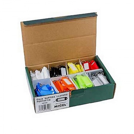 Comprar Llavero Portaetiquetas (Caja) Caja-200 Micel 9151 al Mejor Precio