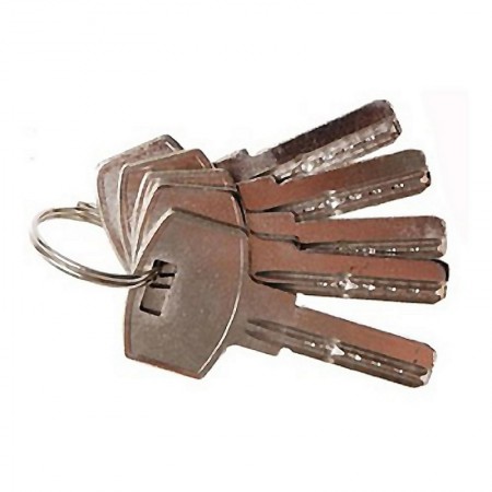Comprar Llavin Cerrojo Seguridad 2500 Laton Caja 10 Amig 4820 al Mejor Precio