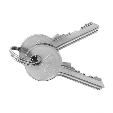 Comprar Llavines Candado 1-60 Caja 50 Amig 4755 al Mejor Precio
