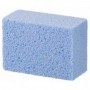 Comprar Piedra Limpiar Piscina 7X10 Cm Polydros 189304 al Mejor Precio