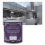 Comprar Pintura Metalizada 125Ml Plata Xylazel 36293 al Mejor Precio