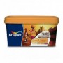 Comprar Pintura Paredes Mate India Melocoton Natural 4L Bruguer 36770 al Mejor Precio