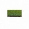 ▷ Césped Artificial (25mm) | Ferreidea
