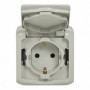Comprar Toma Ip44 2P+T Gris Forix Legrand 224016 al Mejor Precio