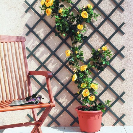 Comprar Trellis Plegable 1X2Mt Gris Pvc Nortene 313106 al Mejor Precio