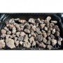 Comprar Barbacoa Gas Xpert Plus It  Campingaz 228342 al Mejor Precio