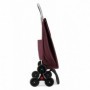 Comprar Carro Compra Akanto Mr 6 Ruedas Burdeos  Rolser 84340 al Mejor Precio