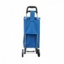 Comprar Carro Compra Compra 2 Ruedas Azul  Wurko 84401 al Mejor Precio