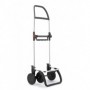 Comprar Carro Compra Imax Mf 4L Lima  Rolser 84342 al Mejor Precio